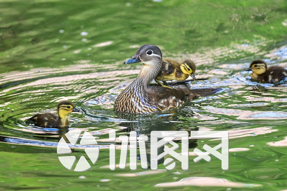 《亲子时光》