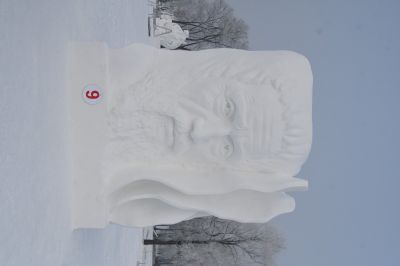 哈尔滨太阳岛公园白天国际雪雕