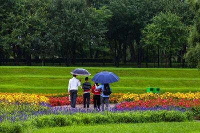 哈尔滨新区太阳岛公园雨中游人