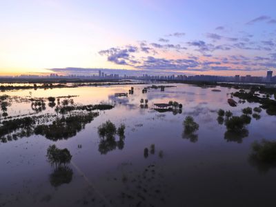 哈尔滨群力外滩湿地