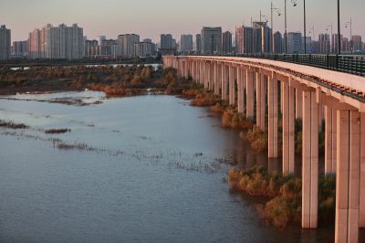 哈尔滨的秋阳明滩大桥湿地建筑