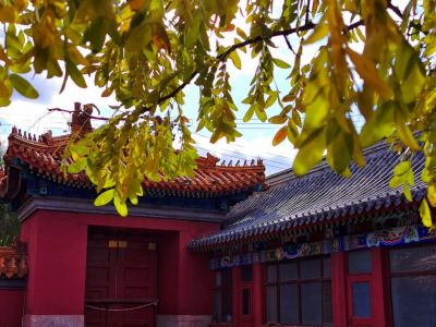 黑龙江省民族博物馆哈尔滨文庙秋季风光