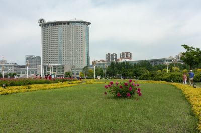 市政府广场夏季花开