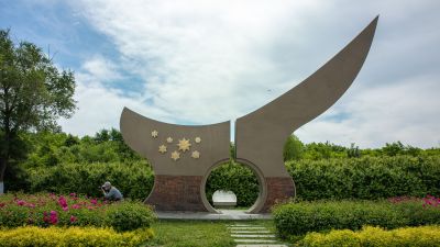 市政府广场夏季花开