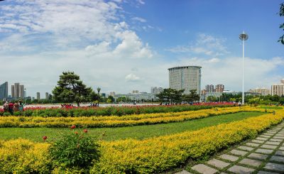 市政府广场夏季花开
