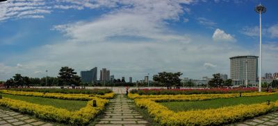 市政府广场夏季花开
