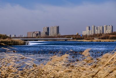 哈尔滨大剧院湿地公园