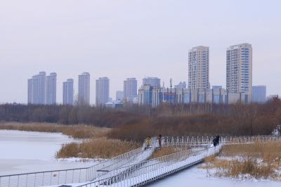 哈尔滨大剧院湿地雪景