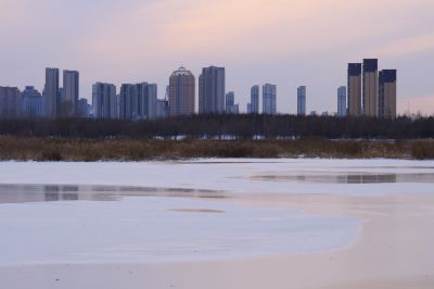 哈尔滨大剧院湿地雪景