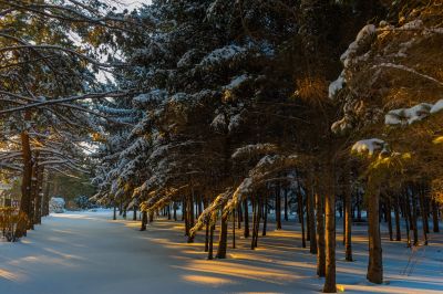 第一苗圃公园（香林公园）冬季雪景