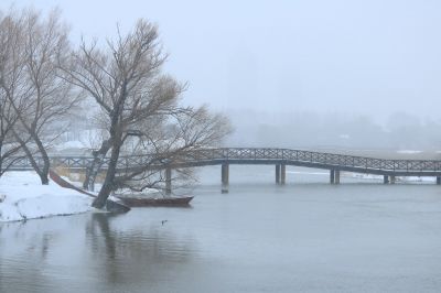 雪中湿地风光