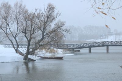 雪中湿地风光