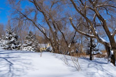 哈尔滨劳动公园冬季雪景