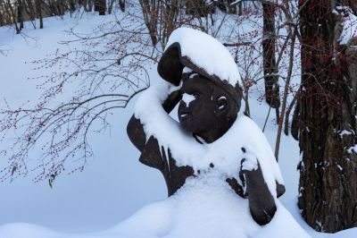 哈尔滨劳动公园冬季雪景