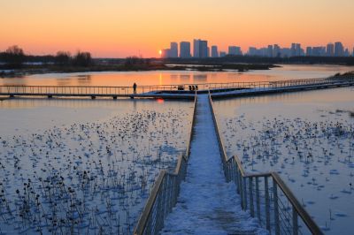 大剧院湿地雪景