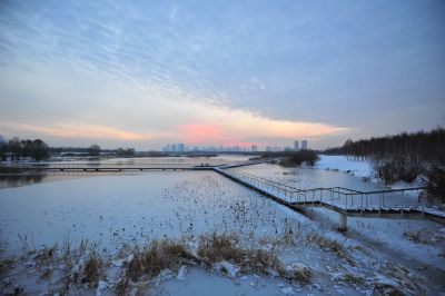地标-哈尔滨大剧院雪景