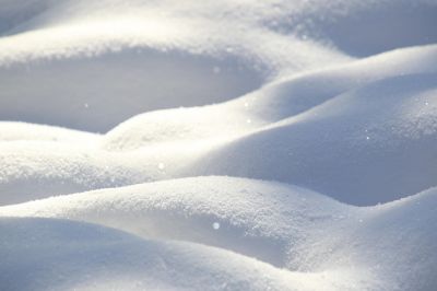 羊草山雪之韵