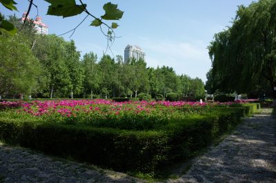 儿童公园夏季风光
