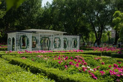 儿童公园夏季风光