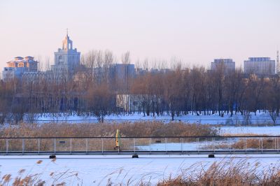 哈尔滨大剧院湿地雪影