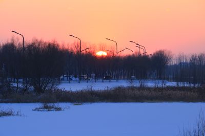哈尔滨大剧院湿地雪影