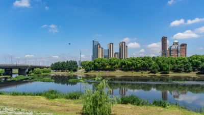 哈尔滨市道里区安阳河园夏季风光