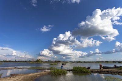 松花江湿地风光