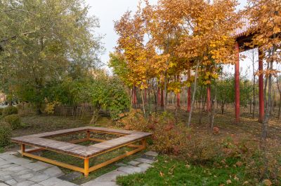 哈尔滨市香坊区第一苗圃休闲公园（香林园）夏秋季景色花卉园林
