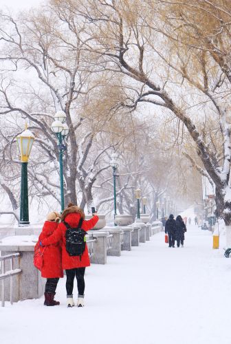 冰城雪景y与游人