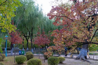 哈尔滨市香坊区尚志公园秋景