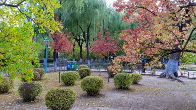 哈尔滨市香坊区尚志公园秋景