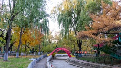 哈尔滨市香坊区尚志公园秋景