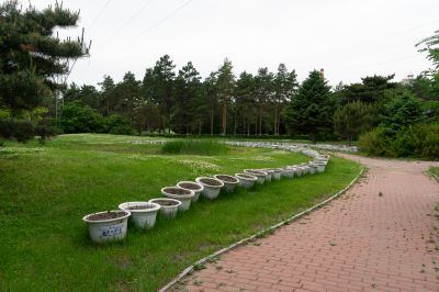 黑龙江森林植物园春天