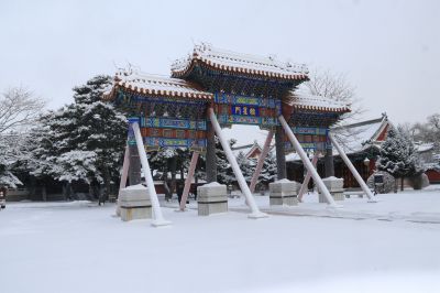 哈尔滨文庙 位于南岗区哈工程院内 仿清古建筑群 1926-1929年为祭孔子而建