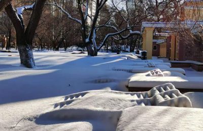 斯大林公园冬日景色