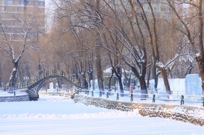 冰城雪影兆麟公园第四十七届哈尔滨冰灯艺术游园会冰雕