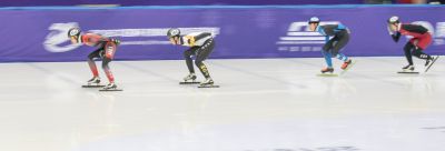 中国杯短道速滑哈尔滨站比赛