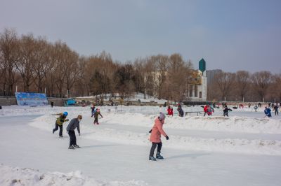 戴绣湖公园娱雪活动