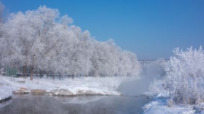 王岗何家沟雪景