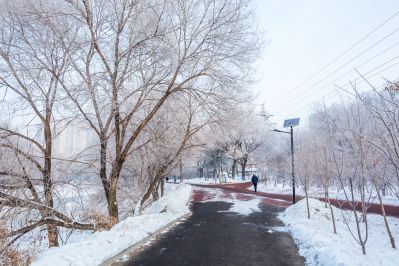 远大生态园冬季雪景