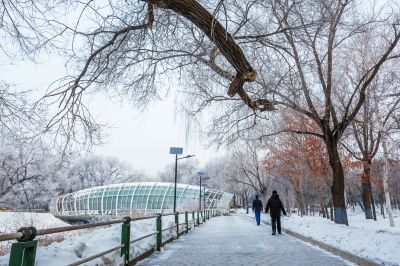 远大生态园冬季雪景