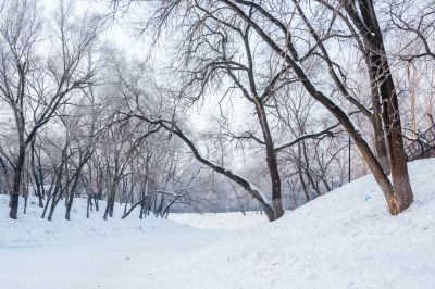 远大生态园冬季雪景