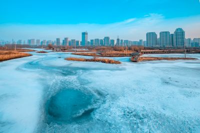 初春外滩湿地公园