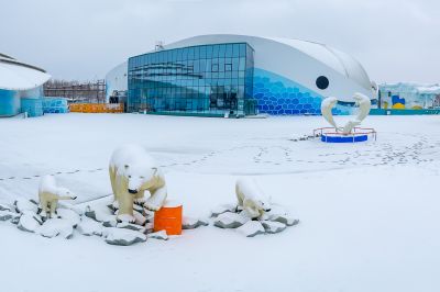 雪中的极地公园广场