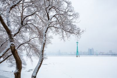 雪中的哈尔滨太阳岛