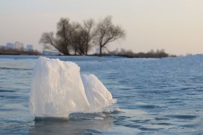 大剧院湿地风光