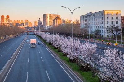 春花开满和兴路
