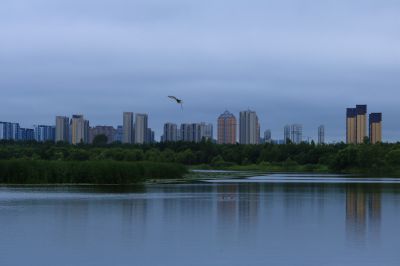 湿地风光