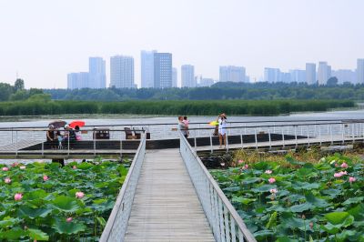 大剧院湿地风光