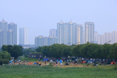 大剧院湿地风光
